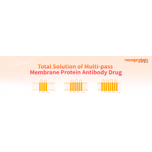 Total Solution of Multi-pass Membrane Protein Antibody Drug.png