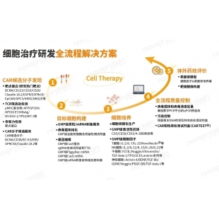 細胞治療研發全流程解決方案.jpg