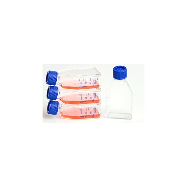 156499,細胞培養盤,cell culture Flask,easyflask,Nunclon Delta,75T 
