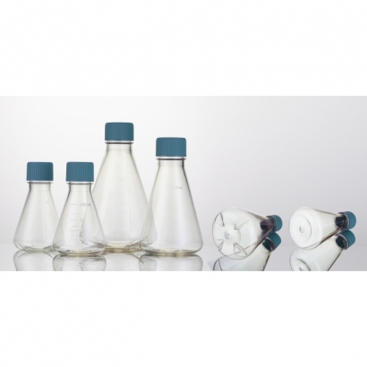 Erlenmeyer Flask.jpg